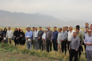 روز مزرعه فرصتی مغتنم برای تبادل دانش و نمایش آخرین دستاوردهای تحقیقاتی در حوزه کشاورزی