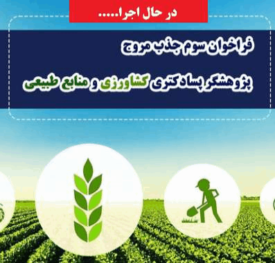 سومین فراخوان پسا دکتری