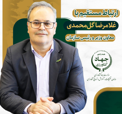 ارتباط  مسقیم