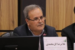 غلامرضا گل محمدی