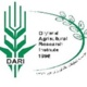 موسسه تحقیقات کشاورزی دیم کشور