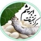 مرکز تحقیقات ابریشم کشور