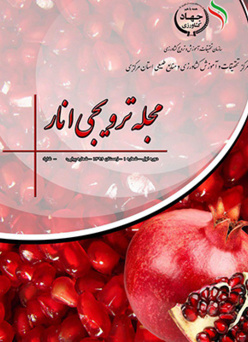مجله ترویجی انار