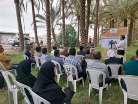 ارائه راهکارهای علمی مدیریت آفت سوسک سرخرطومی حنایی و عارضه خشکیدگی خوشه خرما