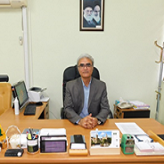 محمد رضا ناروئی راد