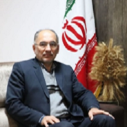 مجتبی محمودی