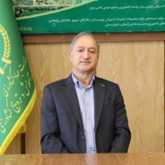فرجام ناظری