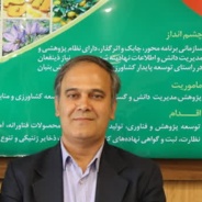 حسن مومنی