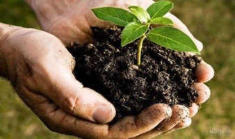 تهدیدات سلامت خاک؛ کاهش مواد آلی، فرسایش، آلودگی و تغییرات آب و هوایی