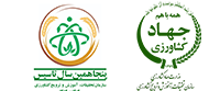 وبسایت جدید