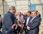 استان اردبیل قطب کشاورزی؛ نفوذ علم در مزارع با دستاوردهای پژوهشی سازمان تات