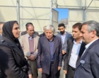 استان اردبیل قطب کشاورزی؛ نفوذ علم در مزارع با دستاوردهای پژوهشی سازمان تات