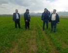 تحول در کشاورزی دیم سرعین؛ گامی در مسیر آموزش و ترویج دانش‌محور