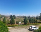 شمار گونه‌های کلکسیون گیاهان دارویی شمال‌غرب به ۲۳۰ می‌رسد
