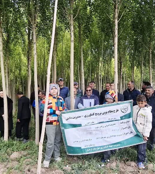 روز مزرعه سایت الگویی صنوبر در اردبیل برگزار شد/ گامی جهت توسعه زراعت چوب و کاهش فشار بر جنگل‌ها