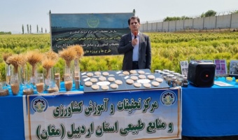 از صرفه‌جویی ۲ میلیارد دلاری تا تولید ۹۸ درصد بذرهای داخلی