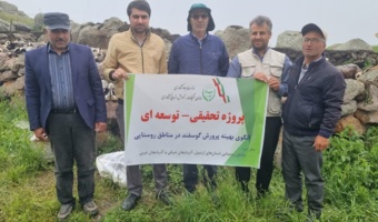 بهبود ۱۵ درصدی تولید بره در گلههای روستایی و عشایری سبلان