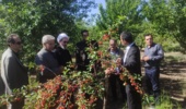 تأکید امامجمعه مشگینشهر بر ضرورت “کاربردیسازی” پژوهشهای کشاورزی