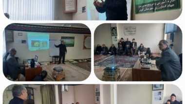 «اصول صحیح باغداری» به‌جای «مصرف بی‌رویه سموم»