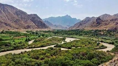 جنگل‌های کران‌رودی ارس، گنجینه‌ای بی‌نظیر از تنوع گونه‌های گیاهی
