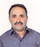 عادل پیرایش بیگ باغی