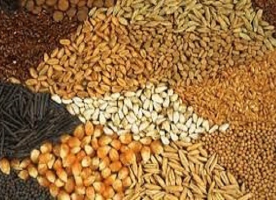 اسلایدر جدید