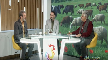 دامپروری خرده‌پا؛ ستون پنهان معیشت روستایی و امنیت غذایی کشور