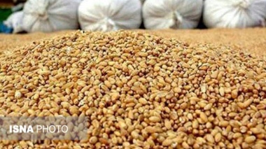 دستیابی به دانش فنی تولید جایگزین بومی کنجاله سویا با استفاده از ضایعات کشاورزی