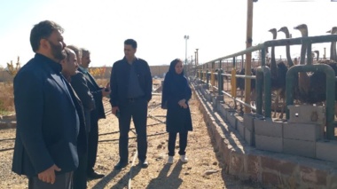 بازدید رئیس مؤسسه از ایستگاه تحقیقات علوم دامی شهید رضوی