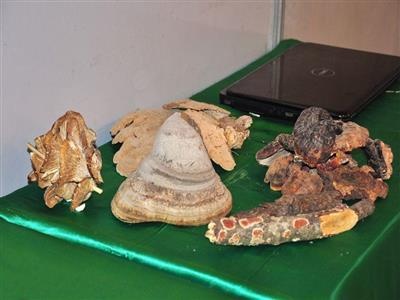 نمایشگاه فناوری‌های پیشرفته تبریز- آبان ۹