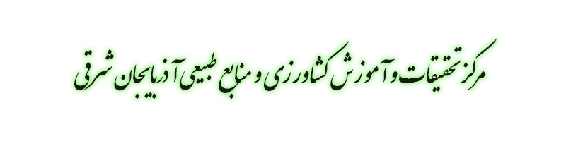 بنر بالا