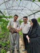 بازدید کارشناسان نهال استان آذربایجان غربی از نهالستان‌های پیرانشهر و سردشت