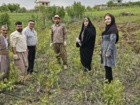 بازدید کارشناسان نهال استان آذربایجان غربی از نهالستان‌های پیرانشهر و سردشت