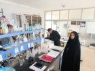 تاکید بر‌ ارتقای عملکرد محصولات و پایداری تولید