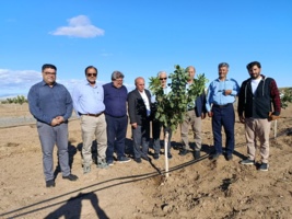 معاونت موسسه ثبت و گواهی بذر و نهال  از باغات و نهالستان‌های آذربایجان غربی بازدید کرد