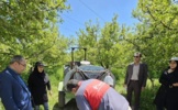 بررسی مقدماتی اثر ترکیب کودی در کاهش خسارت بیماری لکه سیاه سیب