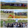 کارگاه پایداری تولید در دیمزارها در شهرستان چایپاره استان آذربایجان غربی برگزار شد