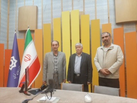 برداشت زعفران