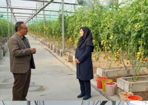 مدیریت گلخانه