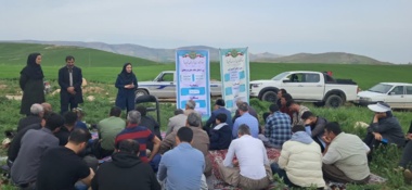 نخستین کاروان ترویجی بهره‌وری سال ۱۴۰۵ در آذربایجان غربی