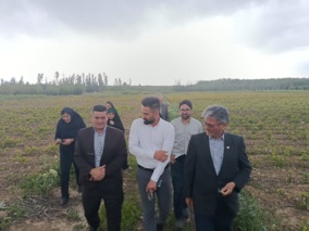 سفر معاون کنترل و گواهی نهال موسسه ثبت و گواهی بذر و نهال به استان آذربایجان غربی