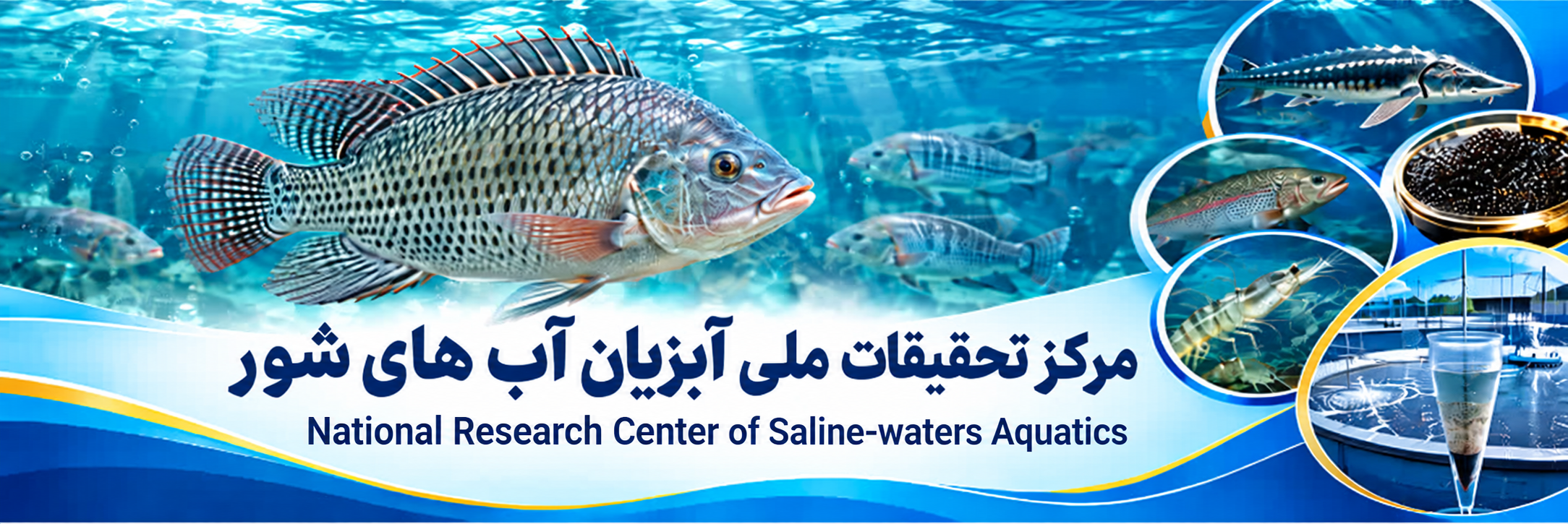معرفی مرکز