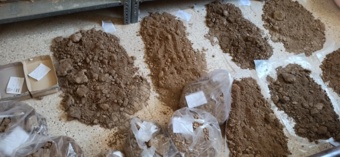 آغاز پایش مستمر خاک‌های کشاورزی بوشهر با اجرای فاز سوم طرح ملی از مهرماه ۱۴۰۴