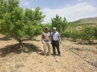 آغاز ارزیابی روش‌های نوین آبیاری در سامان