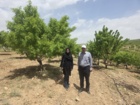 آغاز ارزیابی روش‌های نوین آبیاری در سامان