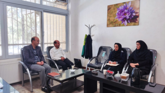 نشست کارگروه استانی، گام تازه‌ای برای توانمندسازی زنان روستایی