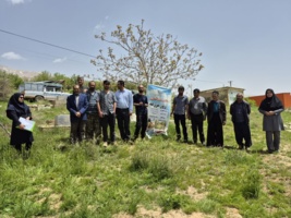 گزارش تصویری؛ کشاورزان دیناران با روش‌های علمی کنترل علف‌هرز، آینده‌ای پربارتر برای گندم آبی رقم زدند