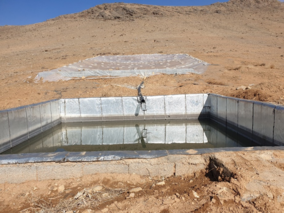 سامانه‌های سطوح آبگیر؛ راهی برای احیای باغات دیم در مواجهه با خشکسالی