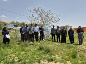 گزارش تصویری؛ کشاورزان دیناران با روش‌های علمی کنترل علف‌هرز، آینده‌ای پربارتر برای گندم آبی رقم زدند