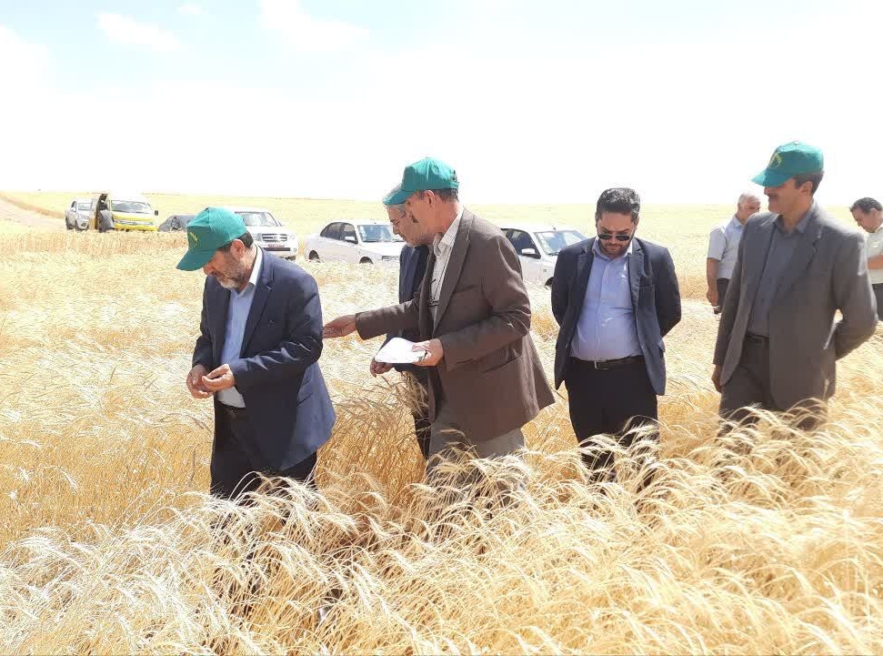 بخش مدیریت منابع